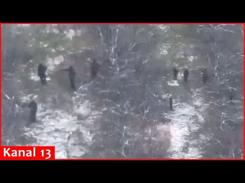 Drone DESTROYS Russians advancing in the forest – The last walk