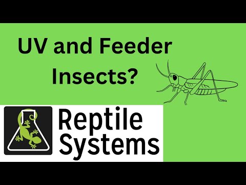 Giving feeder insects UV light makes for better feeders