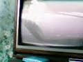 Lyons Group Logo Voice Over VideoTape Avi