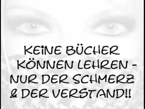 361 Grad Toleranz Frau Merkel!   vom Volk fürs Volk   Wahlkampf 2009
