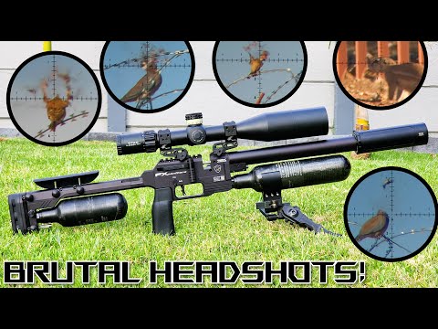 Brutal Headshots! | FX Panthera | Review | 21gr H&N Barracuda | Airgun Pest Control #viral