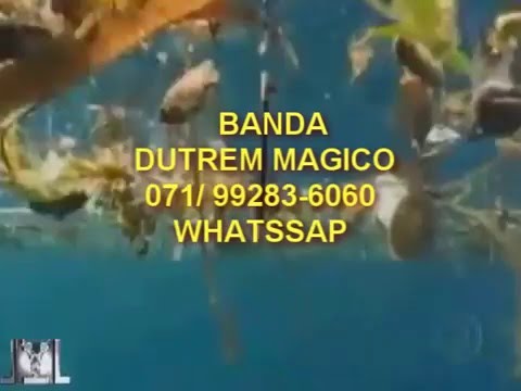 BANDA DUTREM MAGICO /MUSICA POLUIÇÃO