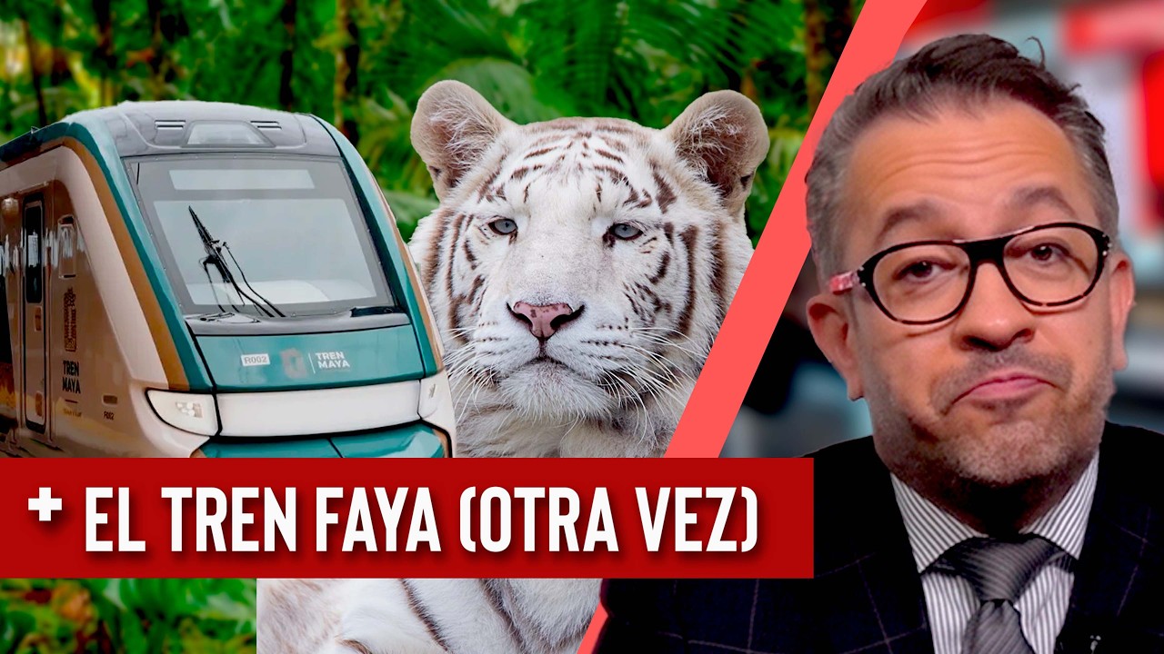 ​El Tren Maya FALLA y su rescate TAMBIÉN | MATAN a tigre Kenzo por falla en sedante - EPDLR
