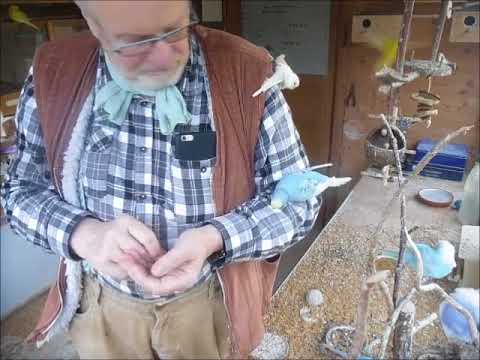 2017 12 14 Und noch mal Ludi