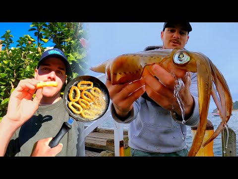 Catch N Cook BIG SQUID - Jetty Fishing
