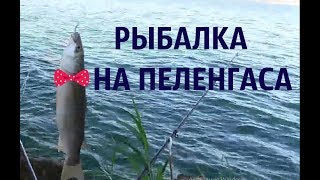 Отдых с отличной рыбалкой в одесской области