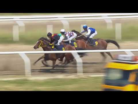 2019.06.09 Voterlöpning (SWE) - Nipozzano