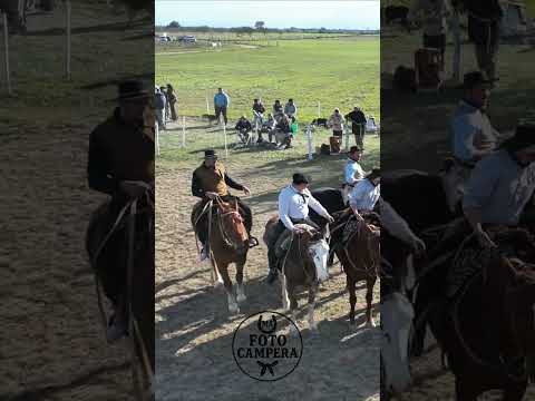 Fiesta San Martiniana, Monte cristo, Cordoba. #jineteadas #fiestas #caballos#Festival#trabajo#drone