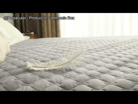 gogobunny Dog Bed Cover Review: Is This Waterproof Protector Worth Your Investment?