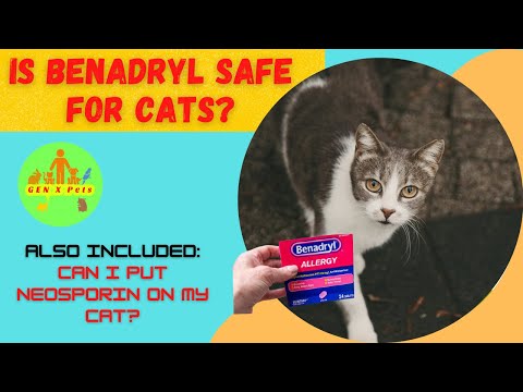 Is Benadryl safe for cats? | Can I put Neosporin on my cat?