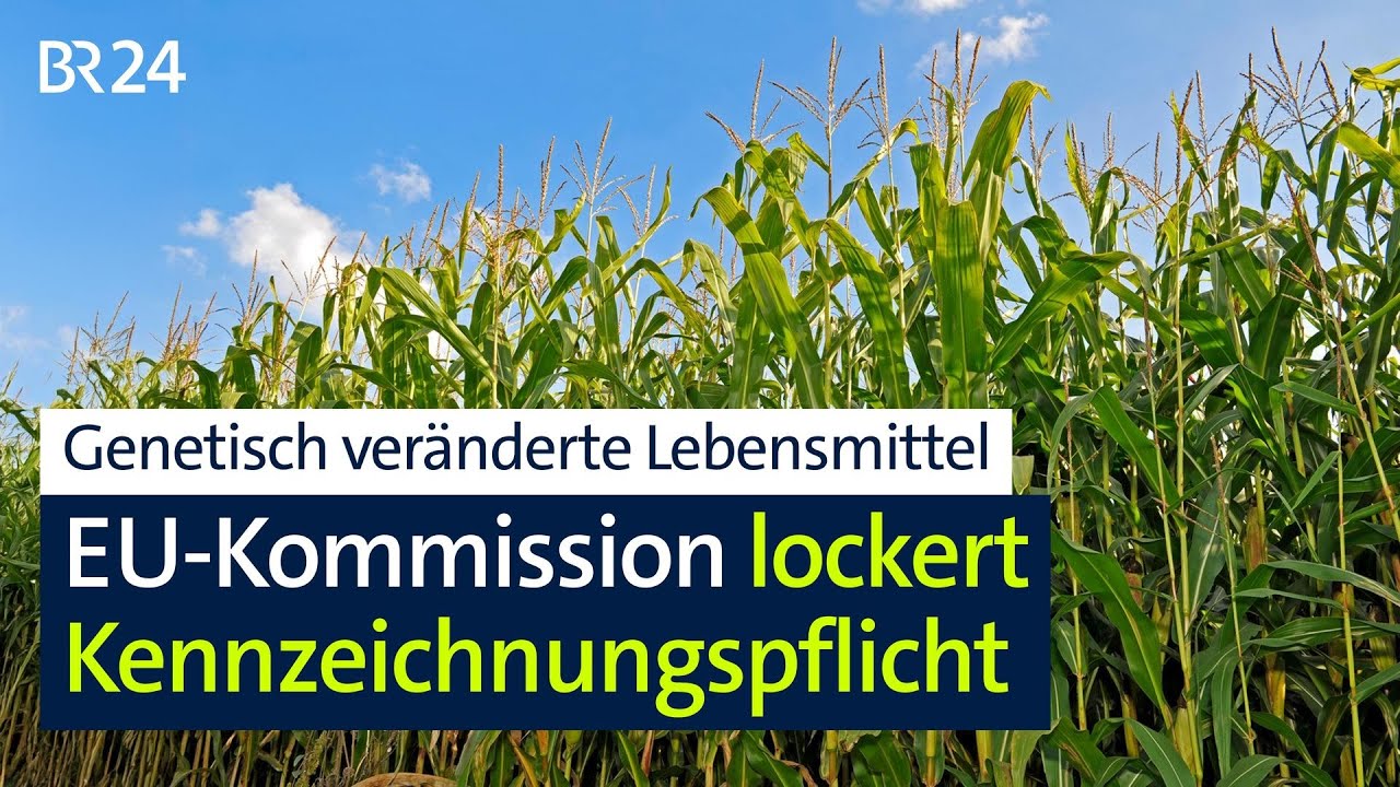 Gentechnische veränderte Lebensmittel: EU-Kommission lockert Kennzeichnungspflicht | BR24