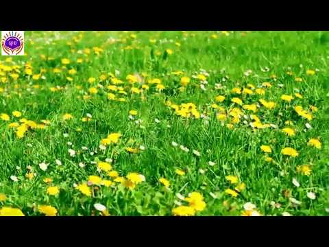 Gabe Maho Boru | Lirik