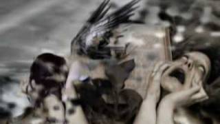 My Dying Bride - For my fallen angel