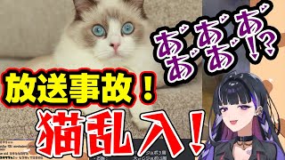 放送事故！配信中に飼い猫が乱入してしまった狂蘭メロコ様【にじさんじ／切り抜き】