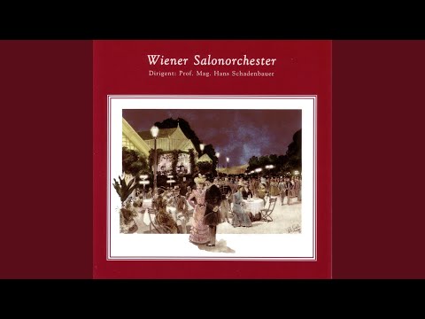 Liebeswalzer: op. 537