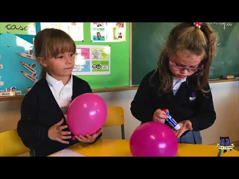 Vídeo Colegio La Purísima Y San Francisco