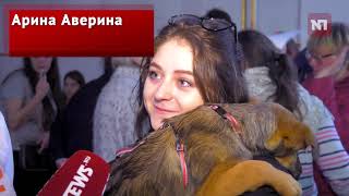 Выставка собак из приютов прошла в Москве
