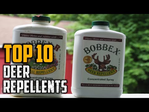 Top 10 Best Deer Repellents in 2025