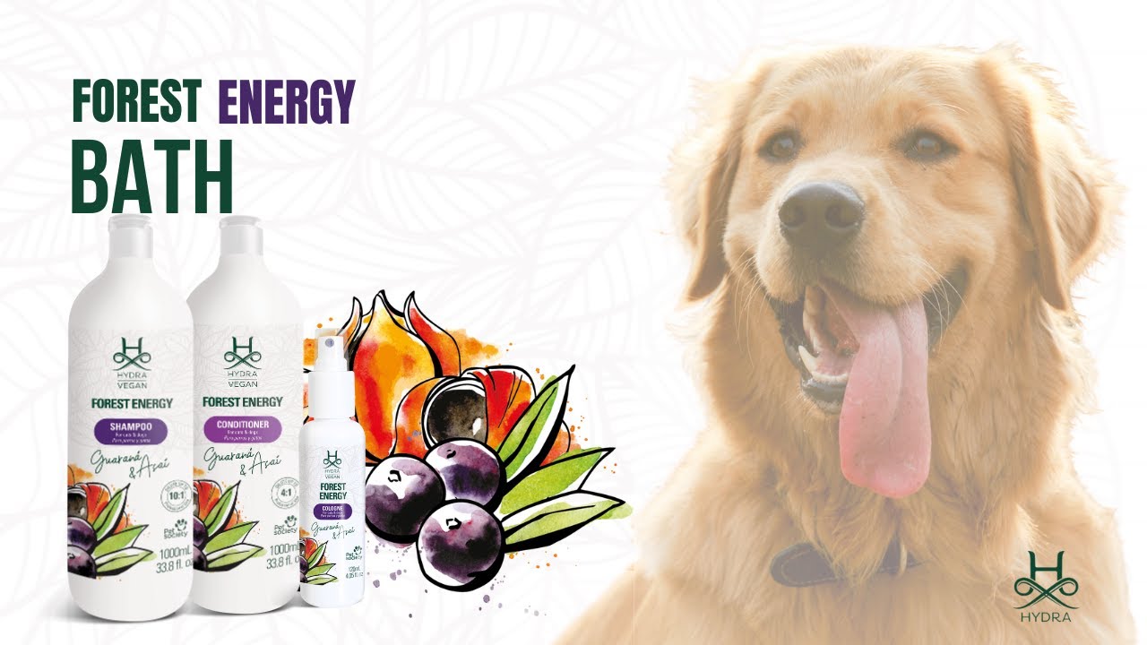 Set de Cosmetica Hydra Vegan FOREST Energy | FULLPET | Todo