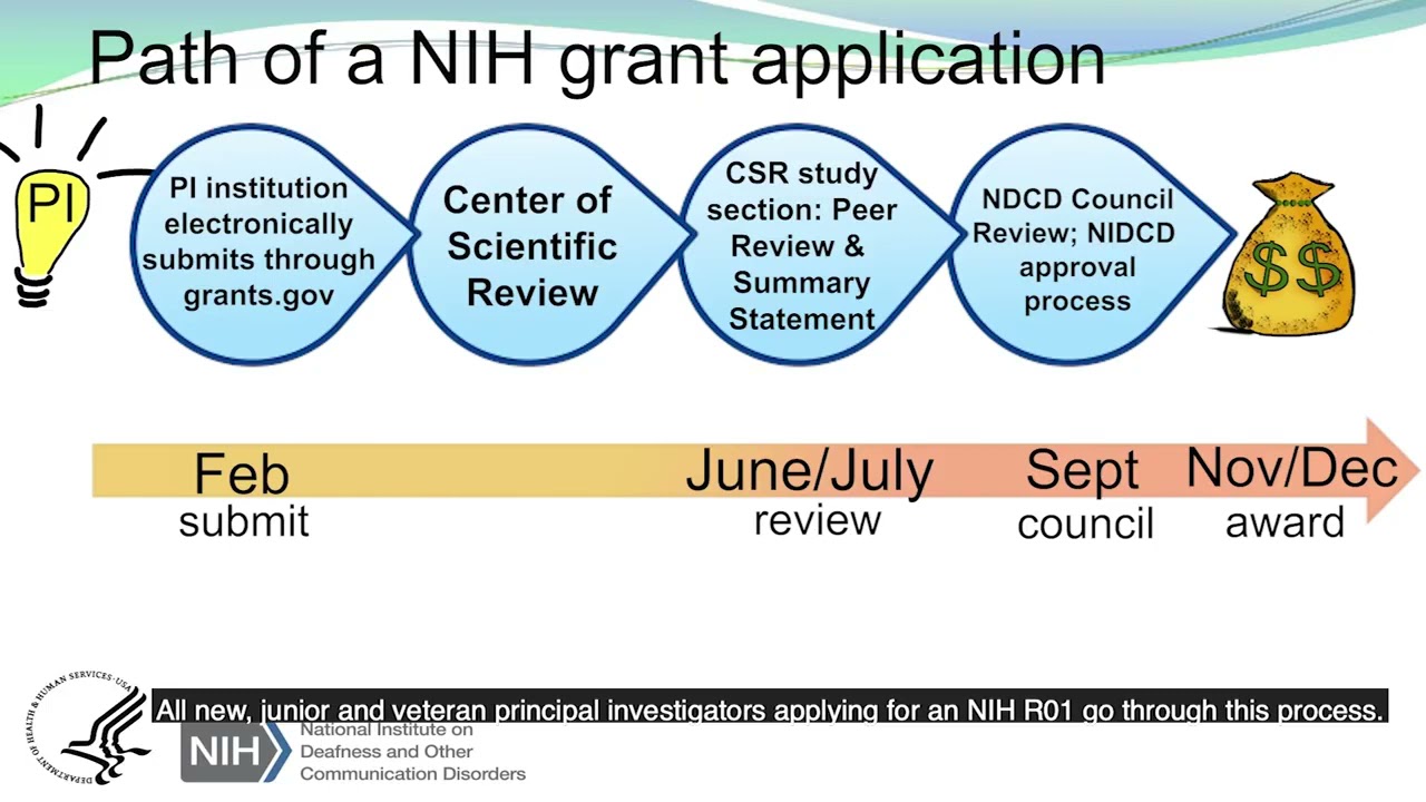 NIDCD New Investigator Workshop: The Grant Application Process