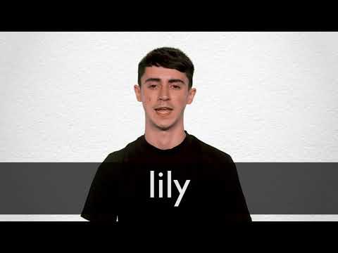 How to pronounce LILY in British English