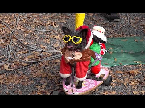 Video Thumbnail: Santa Claus arrives in Tokyo to raise funds for sick children