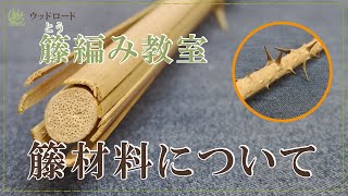 大阪市内 使いやすいサイズ 内袋もついている籐のかごバッグづくり アクティビティジャパン 大阪市内 使いやすいサイズ 内袋もついている籐のかごバッグづくり アクティビティジャパン