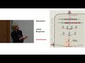 Jennifer Doudna: CRISPR Basics