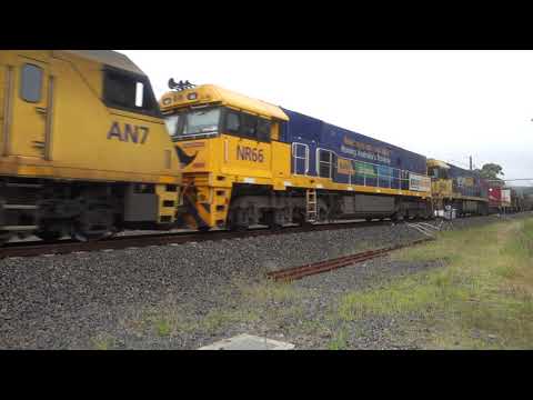 NR84 / NR116 / AN7 / NR66 / NR88 with PN 4NY3 - 24/11/21