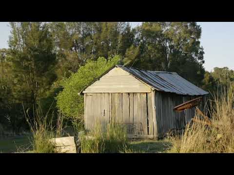 236 Douglas-Plainby Road, Douglas, QLD 4354, 3房, 1浴, Lifestyle Property