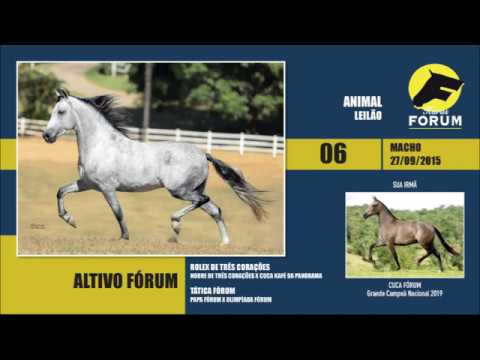 LOTE 06 ALTIVO FÓRUM