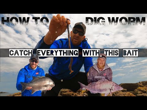 Collecting WONDERWORM for SURF FISHING I Bait&Trace