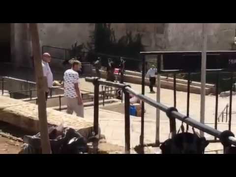القدس المحتله :شاهد..فيديو.. 3 شهداء في القدس والخليل برصاص الاحتلال!!