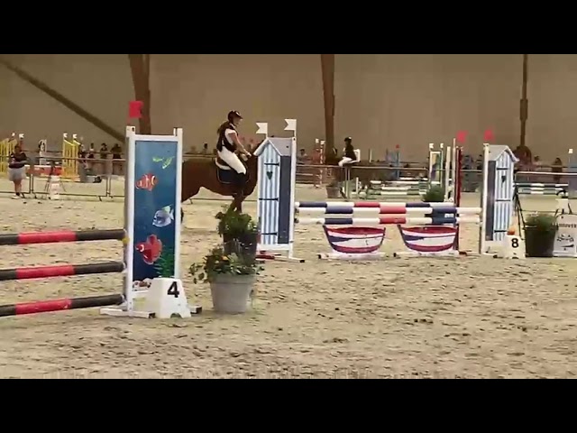 Super Ponette D de Concours 