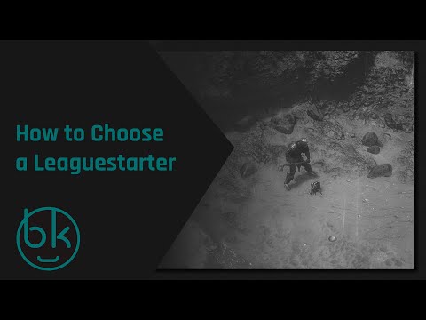 Brittleknee's League Start Guide - How to Choose the Right Build at the Beginning of a New League