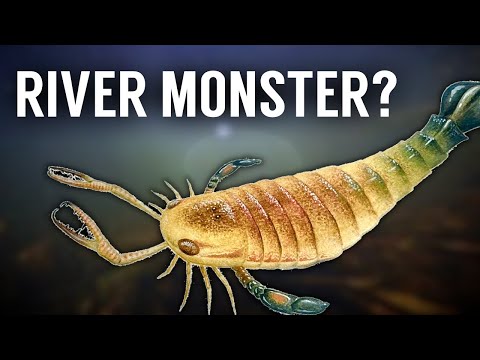 The HUGE Sea Scorpion that was actually a River Monster - Jaekelopterus