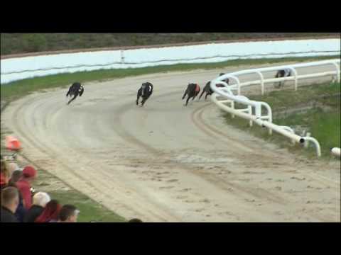 2017 RPGTV 500 FINAL - T6 MAGLASS RAZZLE