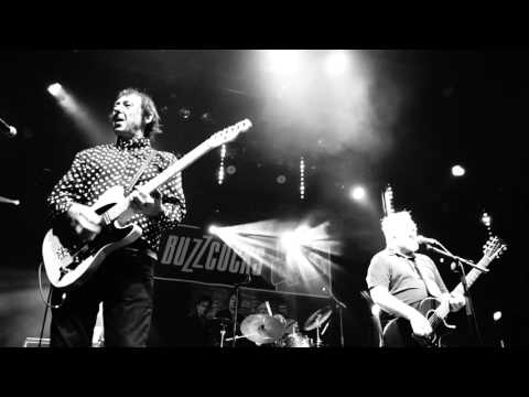 buzzcocks | orgasm addict | live @ le plan