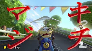 精神異常者のマリオカート8