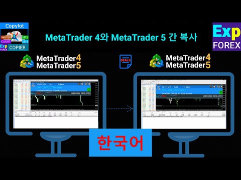 Video Exp COPYLOT CLIENT for MT5