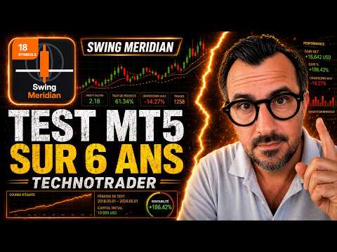 Video Swing Meridian TechnoTrader