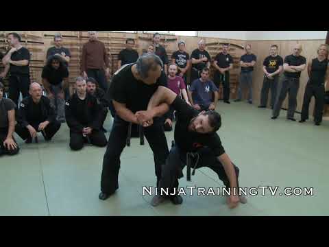 Budo Taijutsu of Master Nagato at Hombu Dojo