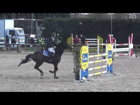 Contador (contendro) 7y 130 cm