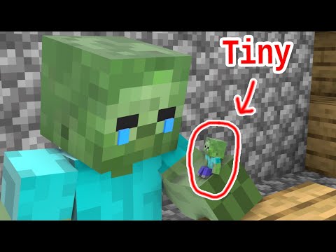 Tiny Baby Zombie, What Happened ? - Sad Story  - Minecraft Animation