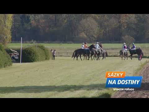 Dostihy Kolesa 19. 10. 2025 - 3. dostih - Cena firmy Střechmont