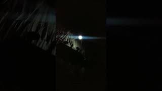 Download lagu CINTA gila ∆ dewa 19 (akustik guitar des) #shorts mp3