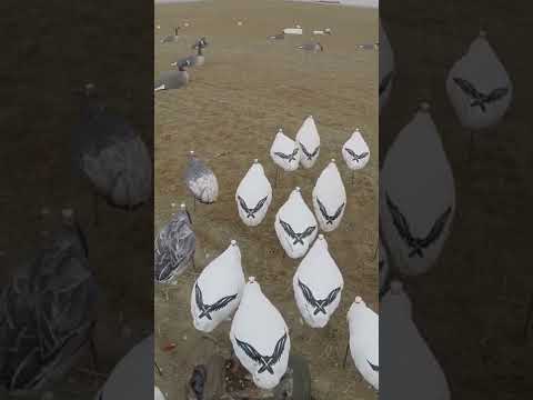 Chasing After Downed Snow | Wknd Warriors Co.