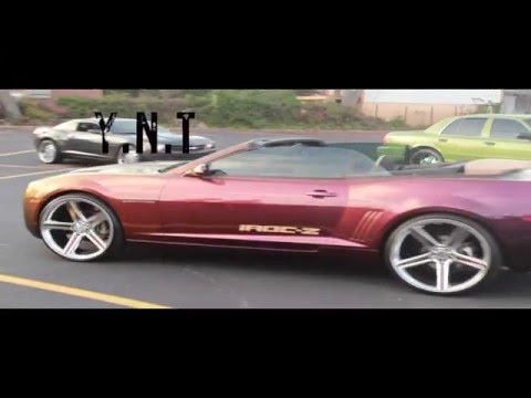 IDP BULL Y.N.T World Premiere Music Video