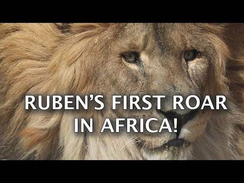 RUBEN’S FIRST ROAR IN AFRICA!