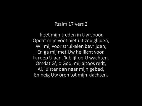 Psalm 17 vers 3